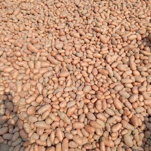 Potatoes(লাল আলু)-1kg