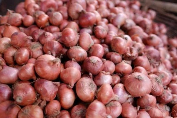 Onion(দেশি পেঁয়াজ)